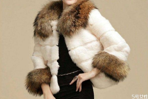 獺兔毛皮草怎么分辨真假 獺兔毛有幾個等級 獺兔毛皮草怎么分辨真假 獺兔毛有幾個等級