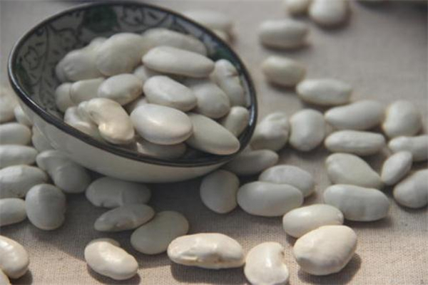 蕓豆沒熟有毒嗎 吃蕓豆中毒怎么辦 蕓豆沒熟有毒嗎 吃蕓豆中毒怎么辦