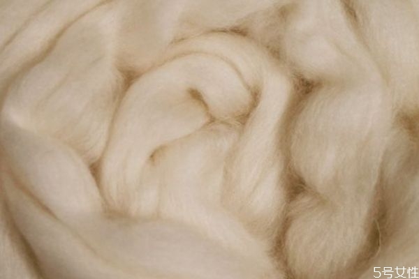 羊絨和駝絨哪個好 加絨打底褲選擇什么絨保暖 羊絨和駝絨哪個好 加絨打底褲選擇什么絨保暖
