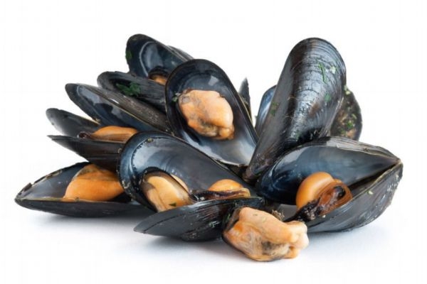 什么是貽貝呢 吃貽貝有什么好處呢 什么是貽貝呢 吃貽貝有什么好處呢