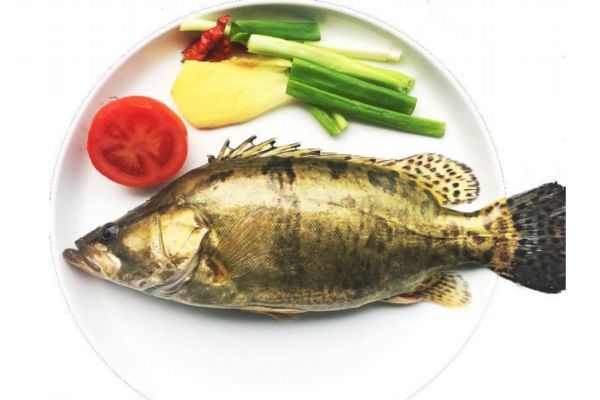 什么是鱖魚(yú)呢 鱖魚(yú)有什么營(yíng)養(yǎng)價(jià)值呢 什么是鱖魚(yú)呢 鱖魚(yú)有什么營(yíng)養(yǎng)價(jià)值呢