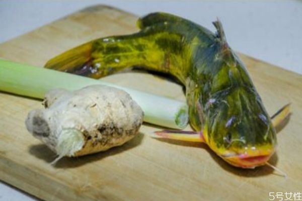 吃黃顙魚有什么好處呢 黃顙魚怎么做好吃呢 吃黃顙魚有什么好處呢 黃顙魚怎么做好吃呢