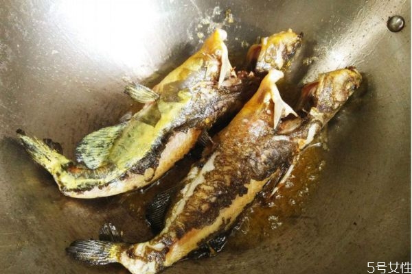 吃黃顙魚有什么注意的呢 黃顙魚適合什么人群呢 吃黃顙魚有什么注意的呢 黃顙魚適合什么人群呢