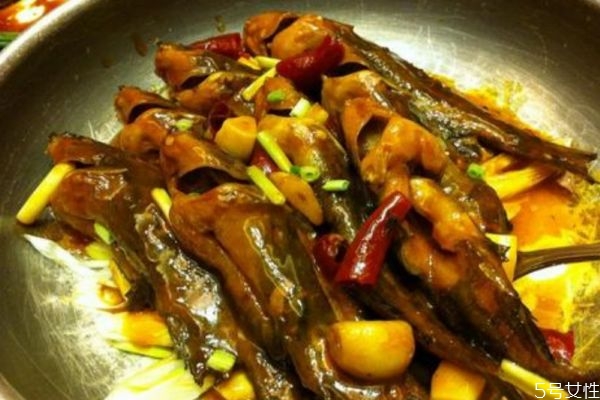 黃刺魚適合什么人群吃呢 孕婦可以吃黃刺魚嗎 黃刺魚適合什么人群吃呢 孕婦可以吃黃刺魚嗎