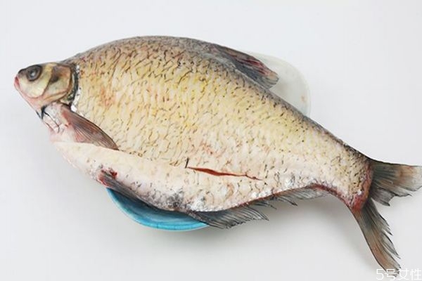 什么是武昌魚呢 武昌魚有什么營養(yǎng)價(jià)值呢