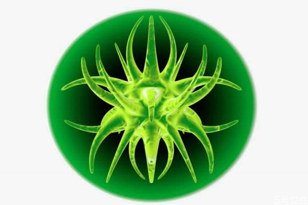 艾博拉病毒的癥狀有什么呢 艾博拉病毒有疫苗嗎 艾博拉病毒的癥狀有什么呢 艾博拉病毒有疫苗嗎