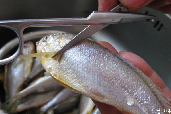 什么是小黃魚呢 小黃魚有什么營養(yǎng)價值呢 什么是小黃魚呢 小黃魚有什么營養(yǎng)價值呢