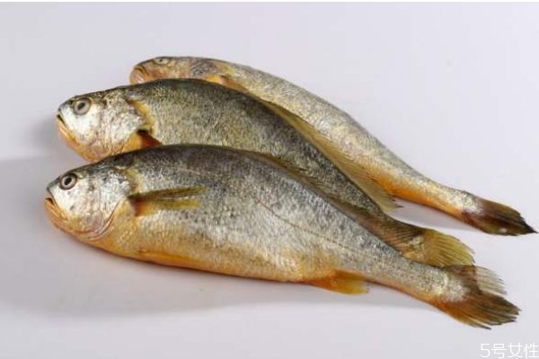 什么是黃花魚呢 黃花魚有什么營(yíng)養(yǎng)價(jià)值呢 什么是黃花魚呢 黃花魚有什么營(yíng)養(yǎng)價(jià)值呢