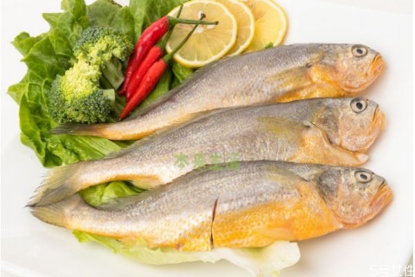 什么是黃花魚呢 黃花魚有什么營(yíng)養(yǎng)價(jià)值呢 什么是黃花魚呢 黃花魚有什么營(yíng)養(yǎng)價(jià)值呢