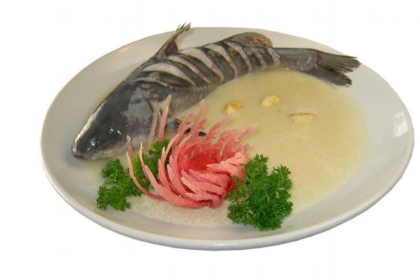 吃鮰魚(yú)有什么好處呢 鮰魚(yú)怎么做好吃呢 吃鮰魚(yú)有什么好處呢 鮰魚(yú)怎么做好吃呢