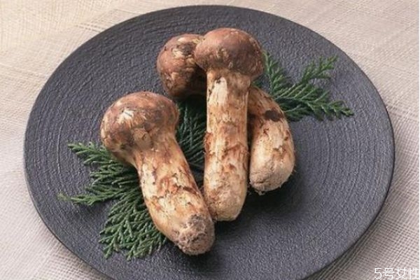 吃松蘑有什么好處呢 松蘑怎么做好吃呢 吃松蘑有什么好處呢 松蘑怎么做好吃呢