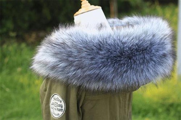 狐貍皮草戶外怎么保護(hù) 狐貍皮草發(fā)黃了怎么辦 狐貍皮草戶外怎么保護(hù) 狐貍皮草發(fā)黃了怎么辦