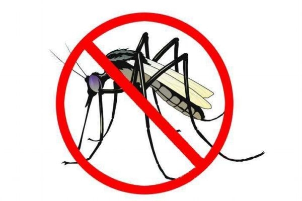 什么是登革熱呢 登革熱有什么癥狀呢 什么是登革熱呢 登革熱有什么癥狀呢