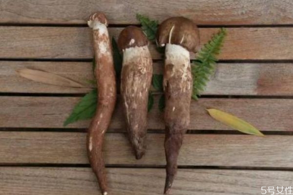 雞樅菌應該怎么挑選呢 雞樅菌出現(xiàn)在幾月份呢