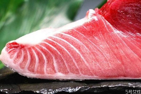 吃金槍魚有什么注意的嗎 孕婦可以吃金槍魚嗎 吃金槍魚有什么注意的嗎 孕婦可以吃金槍魚嗎