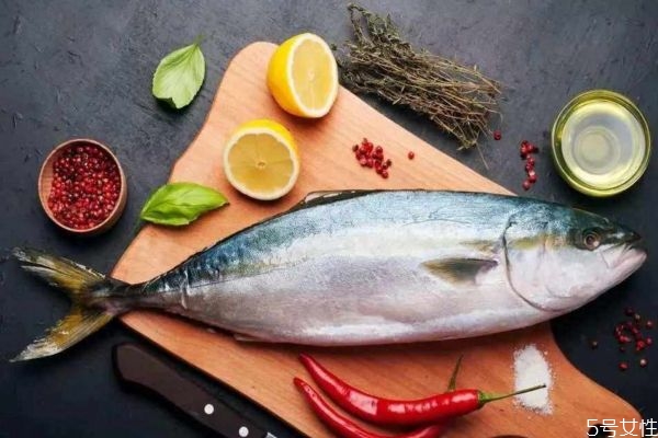 吃金槍魚有什么注意的嗎 孕婦可以吃金槍魚嗎 吃金槍魚有什么注意的嗎 孕婦可以吃金槍魚嗎