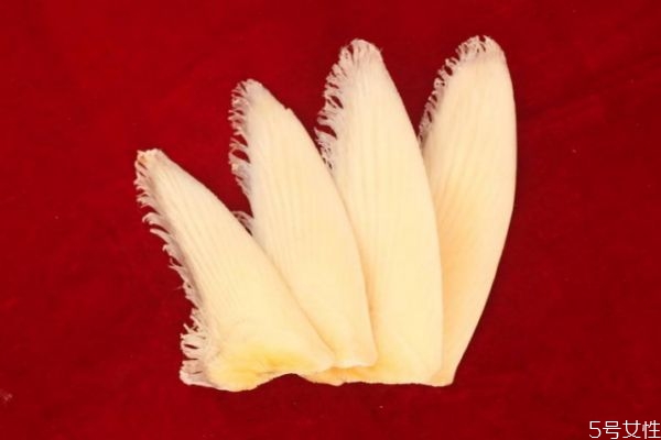 什么是魚翅呢 魚翅有什么營養(yǎng)價值呢 什么是魚翅呢 魚翅有什么營養(yǎng)價值呢