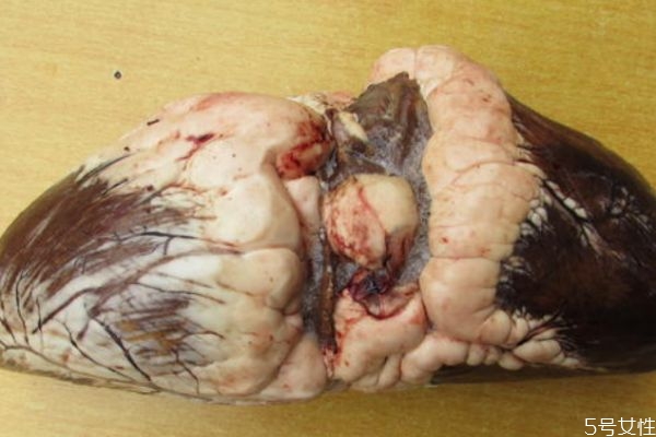 牛心和牛肉的營(yíng)養(yǎng)價(jià)值 牛心和牛肉的區(qū)別 牛心和牛肉的營(yíng)養(yǎng)價(jià)值 牛心和牛肉的區(qū)別