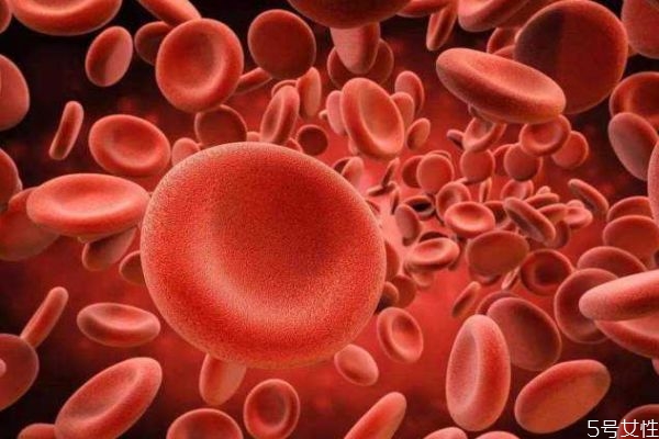 什么是地中海貧血呢 地中海貧血有什么危害呢 什么是地中海貧血呢 地中海貧血有什么危害呢