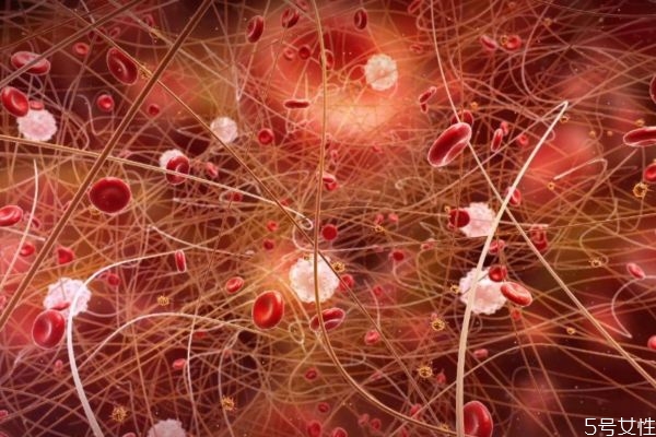 地中海貧血是怎么造成呢 患地中海貧血的原因有什么呢 地中海貧血是怎么造成呢 患地中海貧血的原因有什么呢