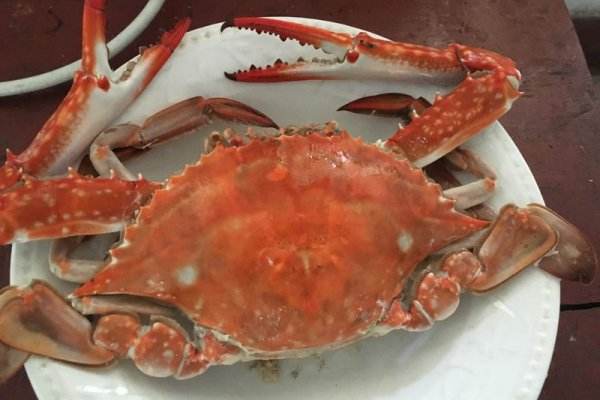 糖尿病人能吃梭子蟹嗎 糖尿病人能吃幾只梭子蟹 糖尿病人能吃梭子蟹嗎 糖尿病人能吃幾只梭子蟹