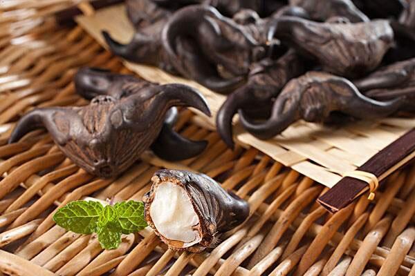 菱角煮多長時間可以熟 煮菱角放鹽的原因 菱角煮多長時間可以熟 煮菱角放鹽的原因