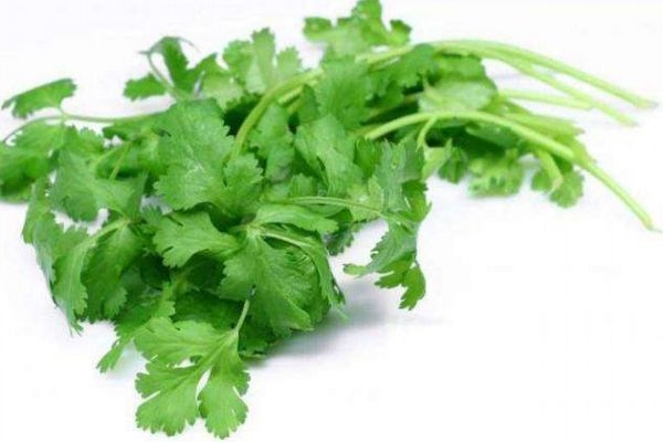 香菜有什么營養(yǎng)價(jià)值呢 吃香菜有什么好處呢 香菜有什么營養(yǎng)價(jià)值呢 吃香菜有什么好處呢