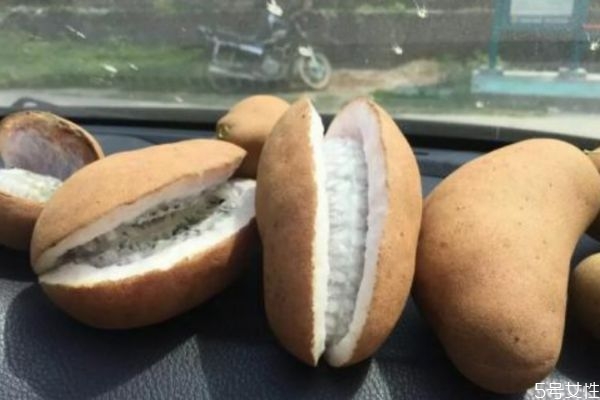 野香蕉可以吃嗎 野香蕉有什么營養(yǎng)價(jià)值呢 野香蕉可以吃嗎 野香蕉有什么營養(yǎng)價(jià)值呢