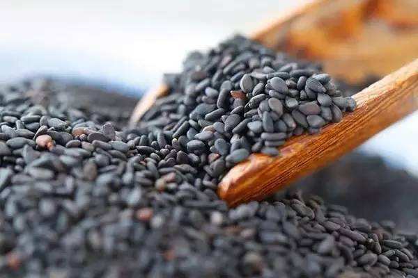 吃生芝麻好還是熟芝麻好 什么時候吃芝麻最好 吃生芝麻好還是熟芝麻好 什么時候吃芝麻最好