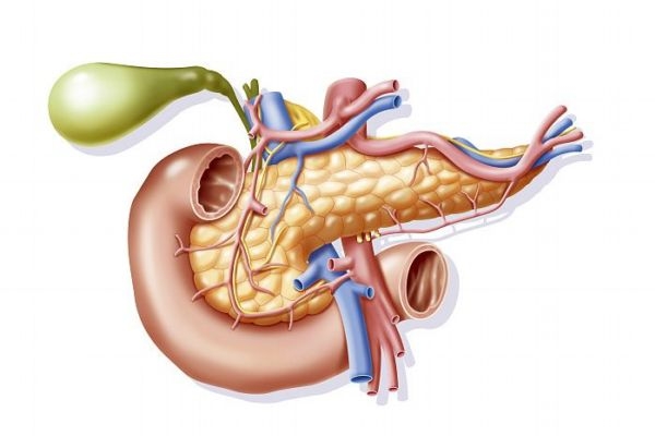 什么是胰腺癌呢 胰腺癌有什么危害呢 什么是胰腺癌呢 胰腺癌有什么危害呢