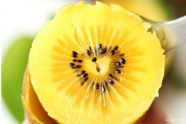 金果獼猴桃有什么營養(yǎng)價值呢 獼猴桃產(chǎn)自哪里呢 金果獼猴桃有什么營養(yǎng)價值呢 獼猴桃產(chǎn)自哪里呢