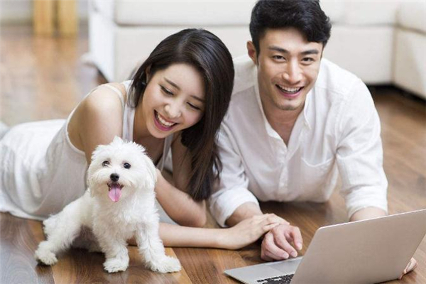 舔狗式愛(ài)情到底有多卑微 舔狗的最高境界是什么 舔狗式愛(ài)情到底有多卑微 舔狗的最高境界是什么