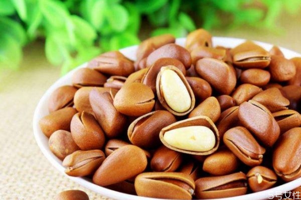 松子的保質(zhì)期是多久呢 松仁應(yīng)該怎么存放呢 松子的保質(zhì)期是多久呢 松仁應(yīng)該怎么存放呢