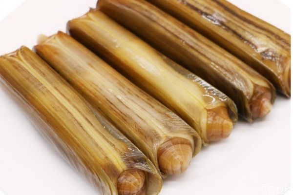 什么是海蟶呢 海蟶有什么營(yíng)養(yǎng)價(jià)值呢 什么是海蟶呢 海蟶有什么營(yíng)養(yǎng)價(jià)值呢