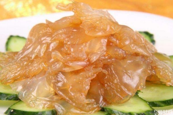 什么是海蜇頭呢 海蜇頭有什么營養(yǎng)價值呢 什么是海蜇頭呢 海蜇頭有什么營養(yǎng)價值呢