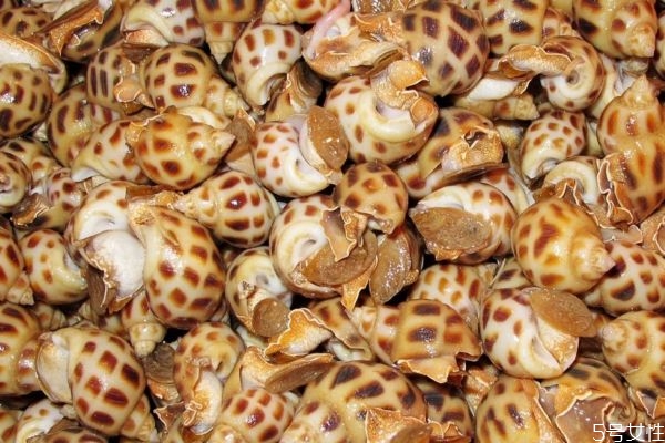 什么是花螺呢 花螺和田螺一樣嗎 什么是花螺呢 花螺和田螺一樣嗎