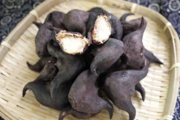 蒸菱角要多長(zhǎng)時(shí)間 菱角是蒸好還是煮好