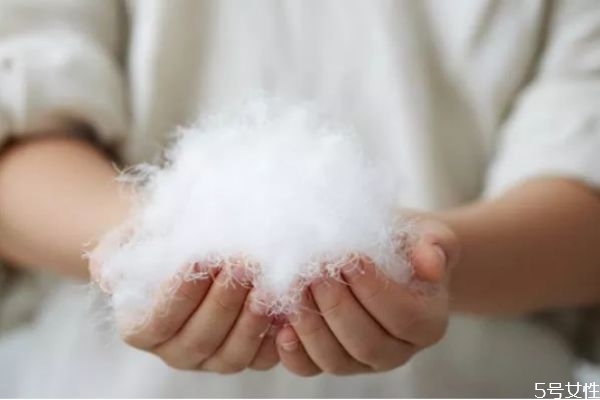 什么牌子的羽絨服好 品牌羽絨服有哪些牌子 什么牌子的羽絨服好 品牌羽絨服有哪些牌子