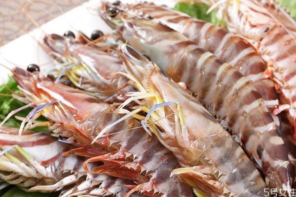 什么是竹節(jié)蝦呢 竹節(jié)蝦有什么營養(yǎng)價(jià)值呢 什么是竹節(jié)蝦呢 竹節(jié)蝦有什么營養(yǎng)價(jià)值呢