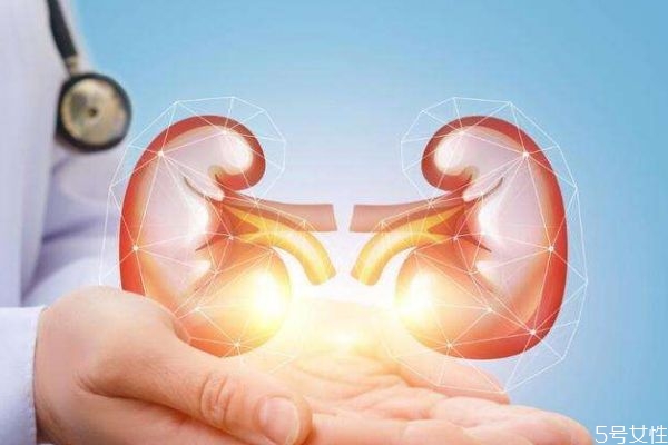 尿毒癥造成的原因有什么呢 為什么會有尿毒癥呢 尿毒癥造成的原因有什么呢 為什么會有尿毒癥呢