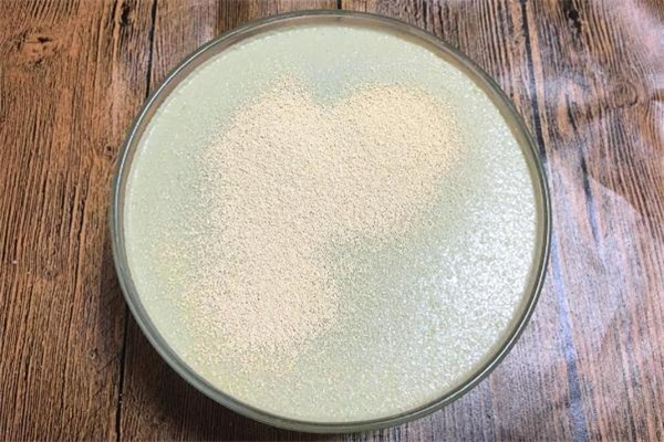 冬天酵母粉怎樣發(fā)面快 冬天酵母發(fā)面多長時(shí)間最好