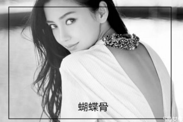 什么是蝴蝶骨呢 蝴蝶骨有什么作用呢 什么是蝴蝶骨呢 蝴蝶骨有什么作用呢