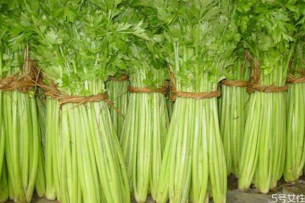 什么是西芹呢 西芹有什么營養(yǎng)價值呢 什么是西芹呢 西芹有什么營養(yǎng)價值呢