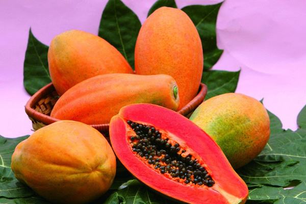 木瓜可以放冰箱保存嗎 新鮮木瓜怎么保存 木瓜可以放冰箱保存嗎 新鮮木瓜怎么保存