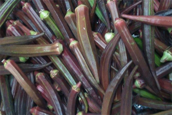 紅秋葵怎么吃最營養(yǎng) 紅秋葵可以炒雞蛋嗎 紅秋葵怎么吃最營養(yǎng) 紅秋葵可以炒雞蛋嗎