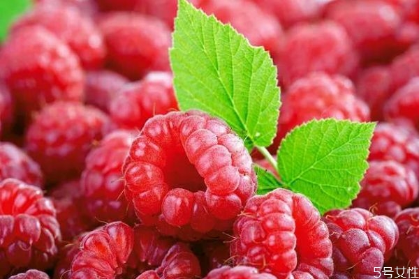 什么是山莓呢 山莓有什么營(yíng)養(yǎng)價(jià)值呢 什么是山莓呢 山莓有什么營(yíng)養(yǎng)價(jià)值呢