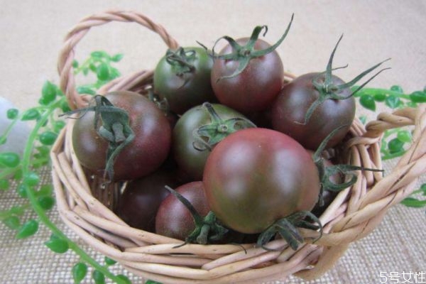 什么是黑番茄呢 黑番茄有什么營(yíng)養(yǎng)價(jià)值呢 什么是黑番茄呢 黑番茄有什么營(yíng)養(yǎng)價(jià)值呢