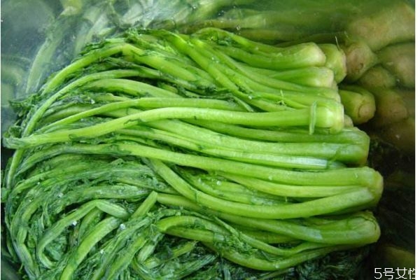 什么是雪里紅呢 雪里紅有什么營養(yǎng)價值呢 什么是雪里紅呢 雪里紅有什么營養(yǎng)價值呢