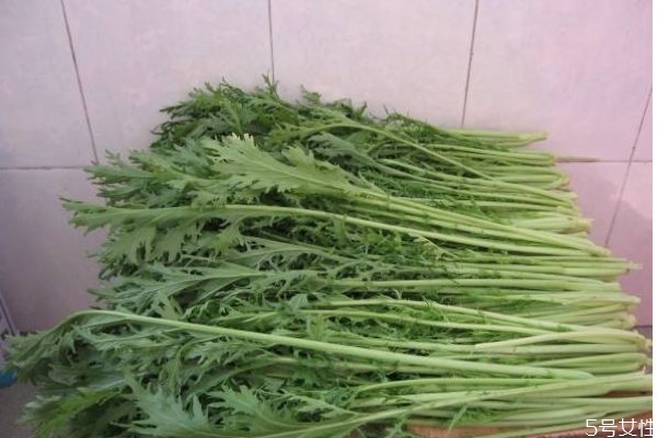 雪里紅怎么做好吃呢 吃雪里紅有什么作用呢 雪里紅怎么做好吃呢 吃雪里紅有什么作用呢