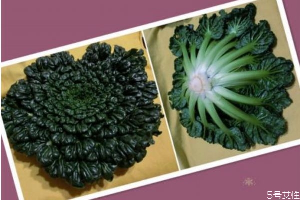 塔菜是什么呢 塔菜可以直接吃嗎 塔菜是什么呢 塔菜可以直接吃嗎